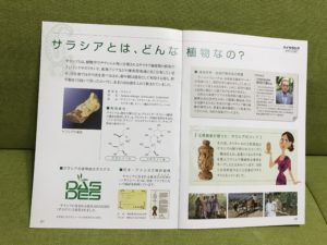 ハイサラシアダイエット口コミ